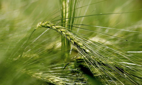 Der Weg zum CO2 neutralen Betrieb