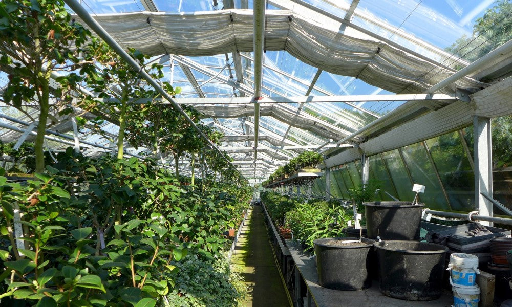 CO2 neutral in der Gärtnerei mit Elektrohoflader