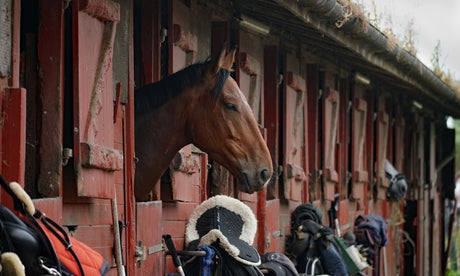 Elektrische Hoflader für Pferdebetriebe
