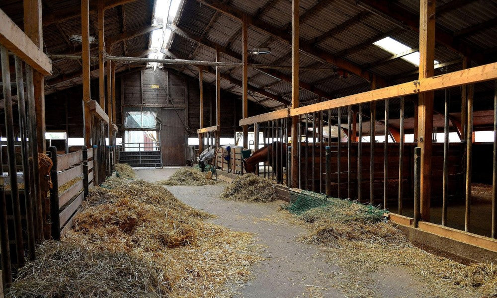 Elektro-Mobilität und Tierwohl