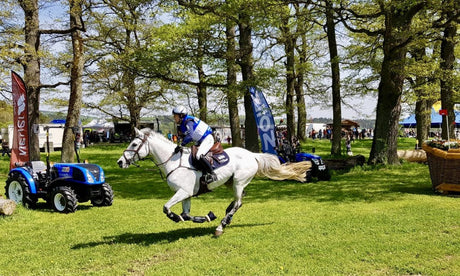 MONA bei der Internationalen Marbacher Vielseitigkeit